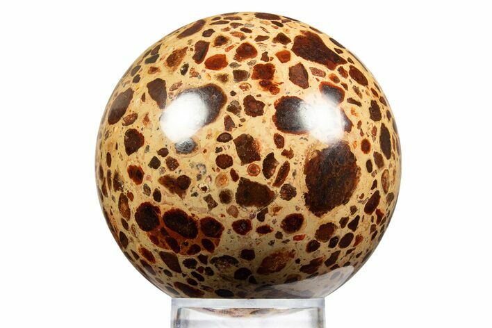 Polished Bauxite (Aluminum Ore) Sphere - Russia #316269